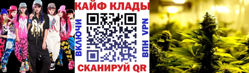 Купить закладку Кокаин  МЕФ  А ПВП  Галлюциногенные грибы  МАРИХУАНА  Новоузенск