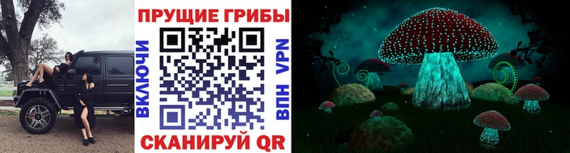 Псилоцибиновые грибы ЛСД  Купить где  Новоузенск 